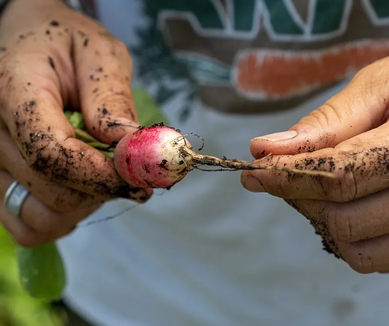 Organic Doesn't Always Mean Low-Impact: The Climate Math Behind Your Food Choices