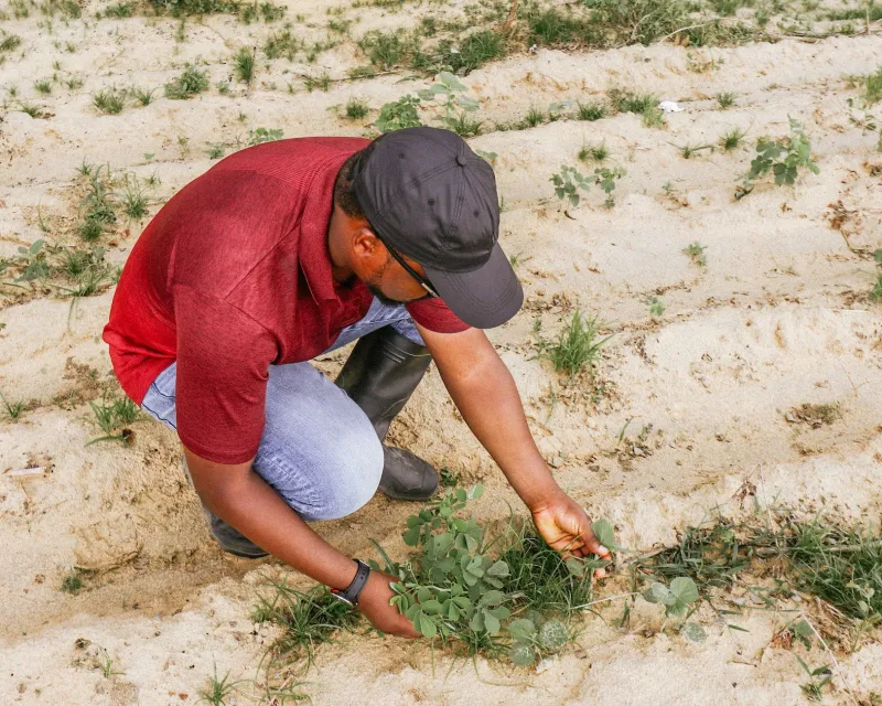 Grow Big or Go Home: The Impossible Choice Facing America's Best Small Organic Farms