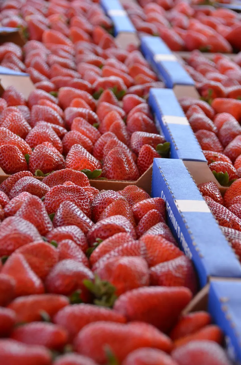 Not All Organic Fruit Is Created Equal: The Real Reason Your Strawberries Keep Letting You Down